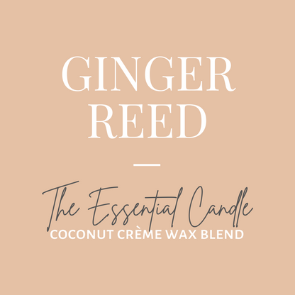 The Essential Candle-Ginger Reed