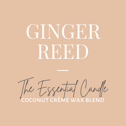 The Essential Candle-Ginger Reed