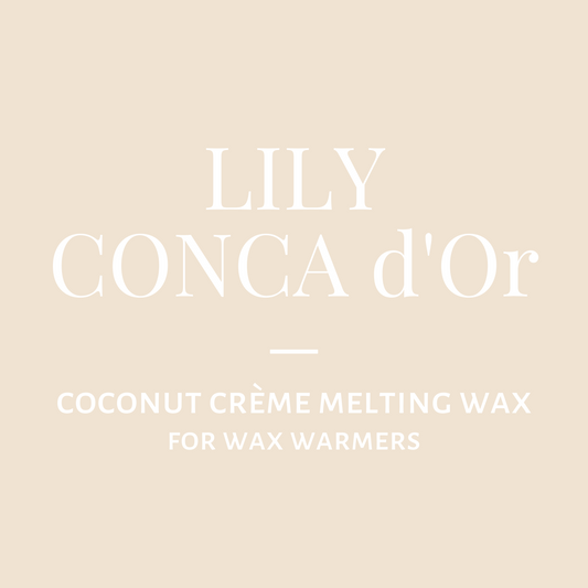 Melting Wax-Lily Conca d'Or