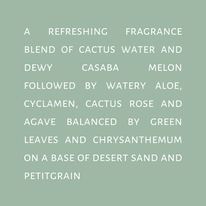 Home Fragrance Mist-Palo Verde